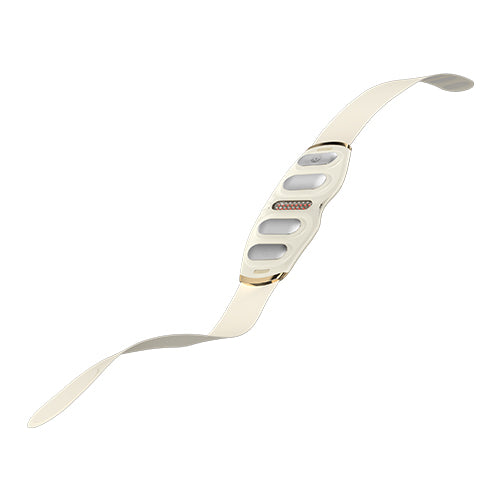 SKG GS500 Waist Massager